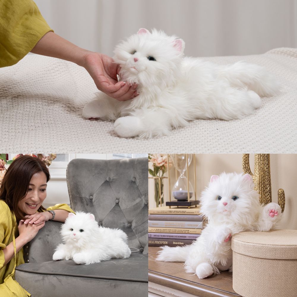 楽天市場】デジレクト しっぽふりふり あまえんぼう子ねこちゃん シツ