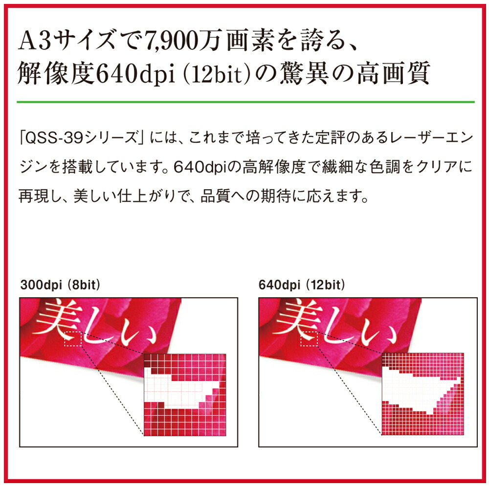 楽天市場】【10枚組】A3サイズ フジカラープリント A3サイズ相当431mm