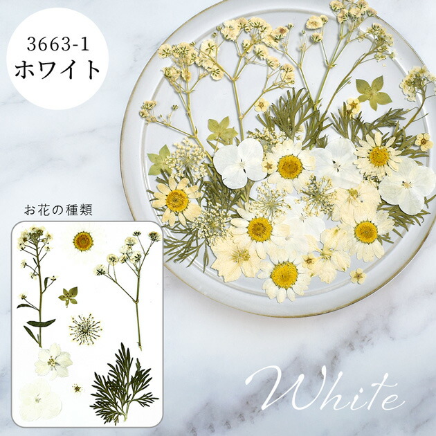 楽天市場】押し花 セット 40枚入 全9種 □ドライフラワー ネイル