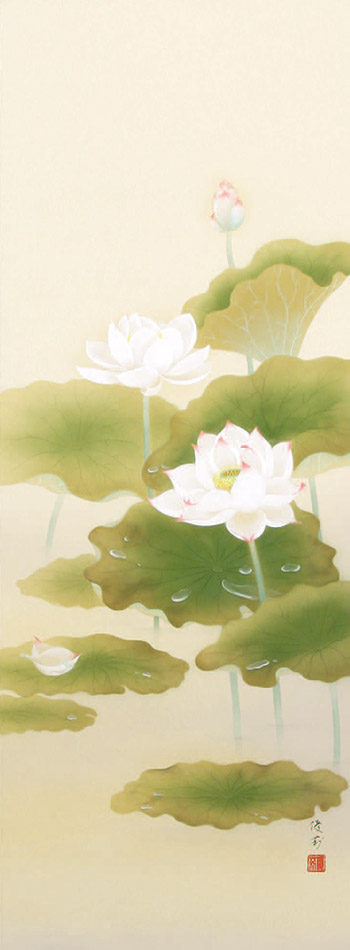 楽天市場】掛け軸 掛軸 蓮心 鈴木優莉 尺五立(54.5×190cm) ＜太巻桐箱