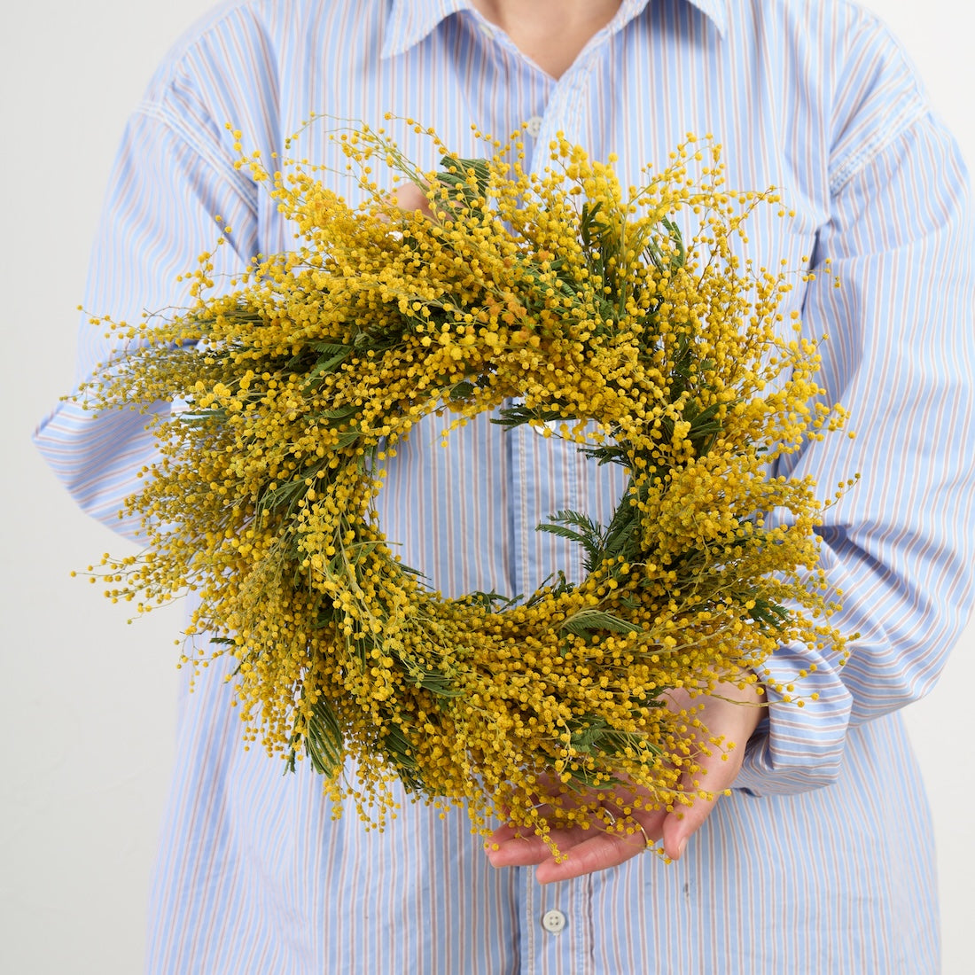 陽だまり＞ミモザのリース 商品ページ - 土と風の植物園