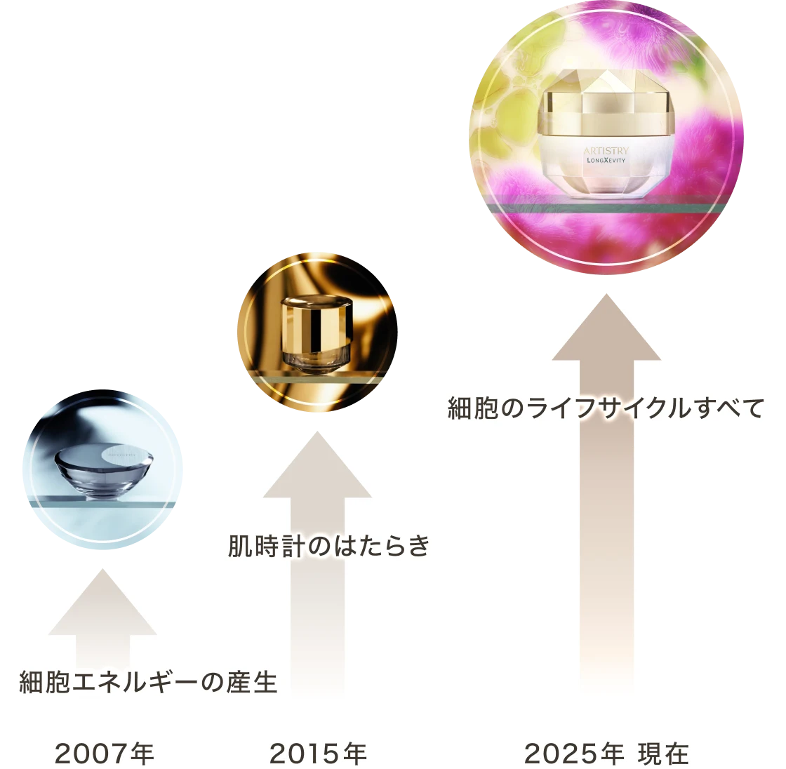 アーティストリー ロンジェビティ™ | amwaylive