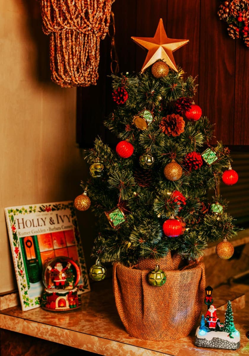 niko and  Christmas Collection 2024