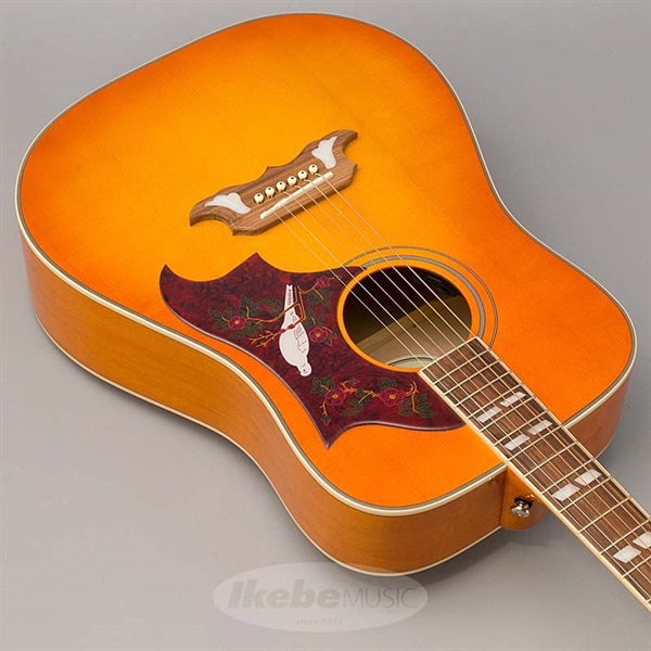 Epiphone 【数量限定エピフォン・アクセサリーパックプレゼント】DOVE