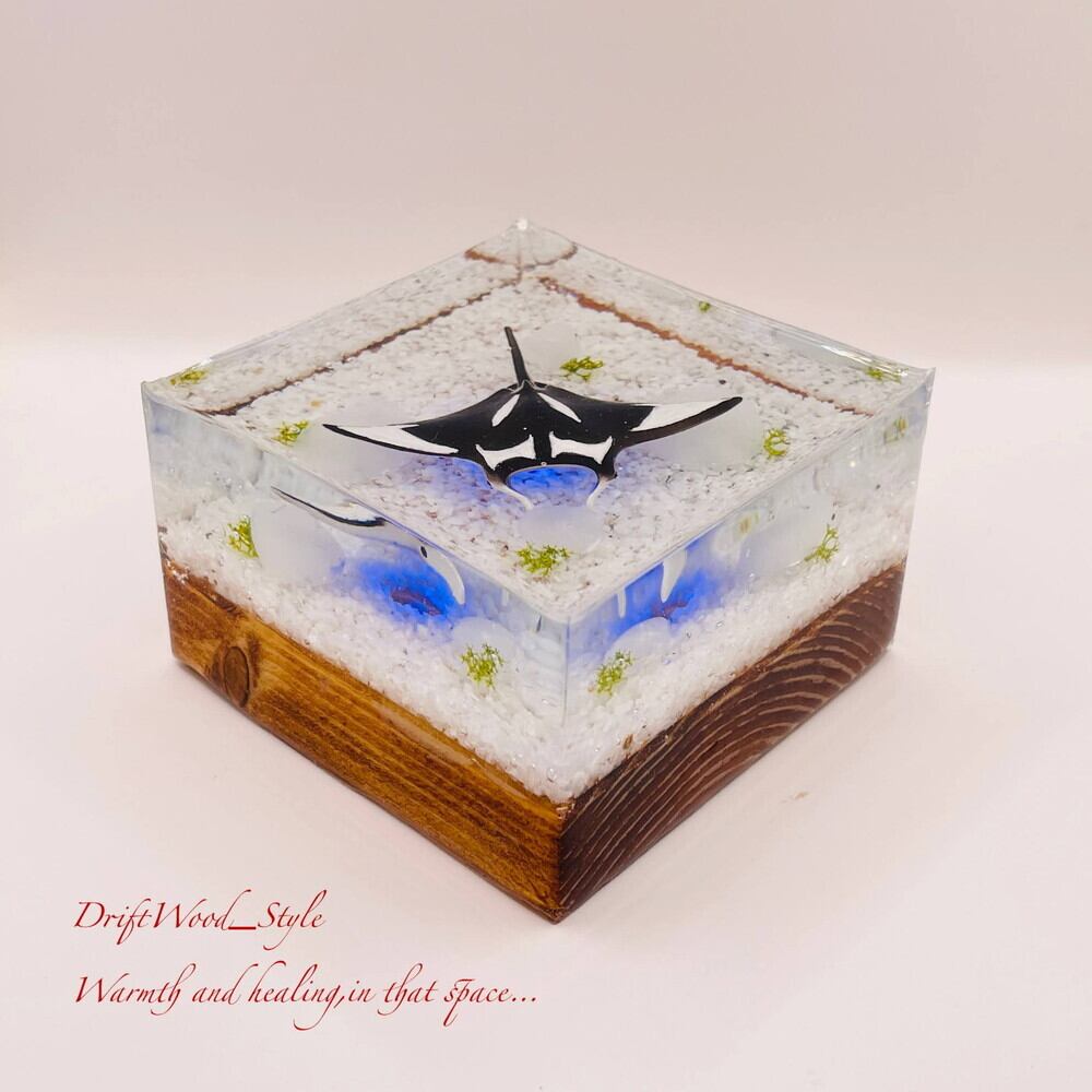 海の世界を閉じ込めた流木アート マンタ 水中ジオラマ 流木 レジン