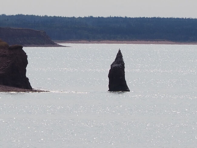 広いカナダの小さな島 10年振りのPEI 後半』プリンスエドワード島