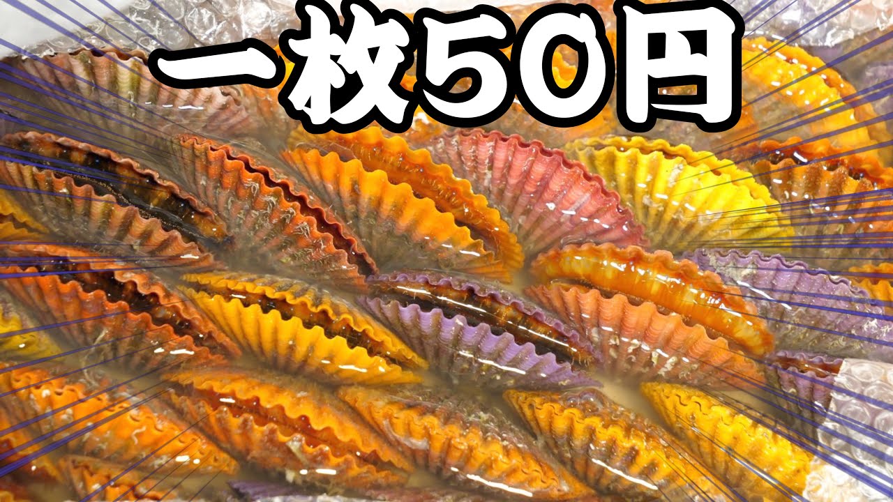 安すぎる謎の『レインボーホタテ』のお味はいかに！？お弁当を作って