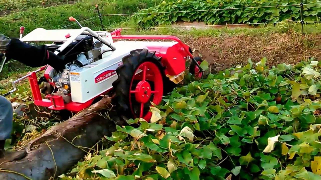文明農機 ヤンマー かんしょつる切機 FMS800 さといも ごぼう 焼酎芋