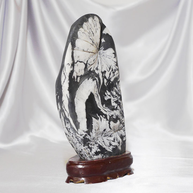 菊花石 No.227 【鑑賞用鉱石】高さ:約28cm 幅:約16cm 重さ:約4.0kg