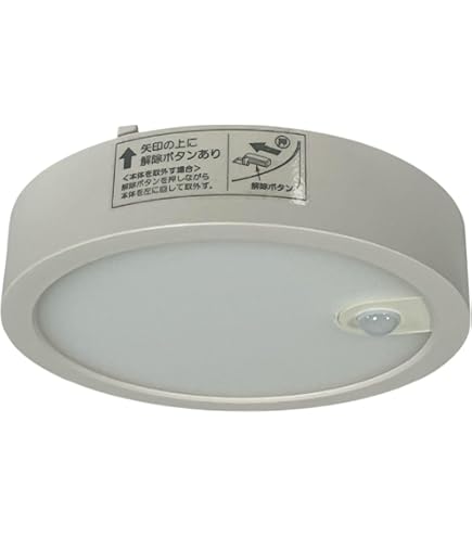 Amazon | DAIKO LEDシーリング ～10畳 （LED内蔵） 昼