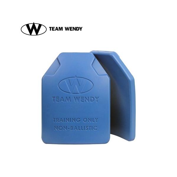 リアルウェイトダミープレート（2枚セット）TEAM WENDY ESAPI NON