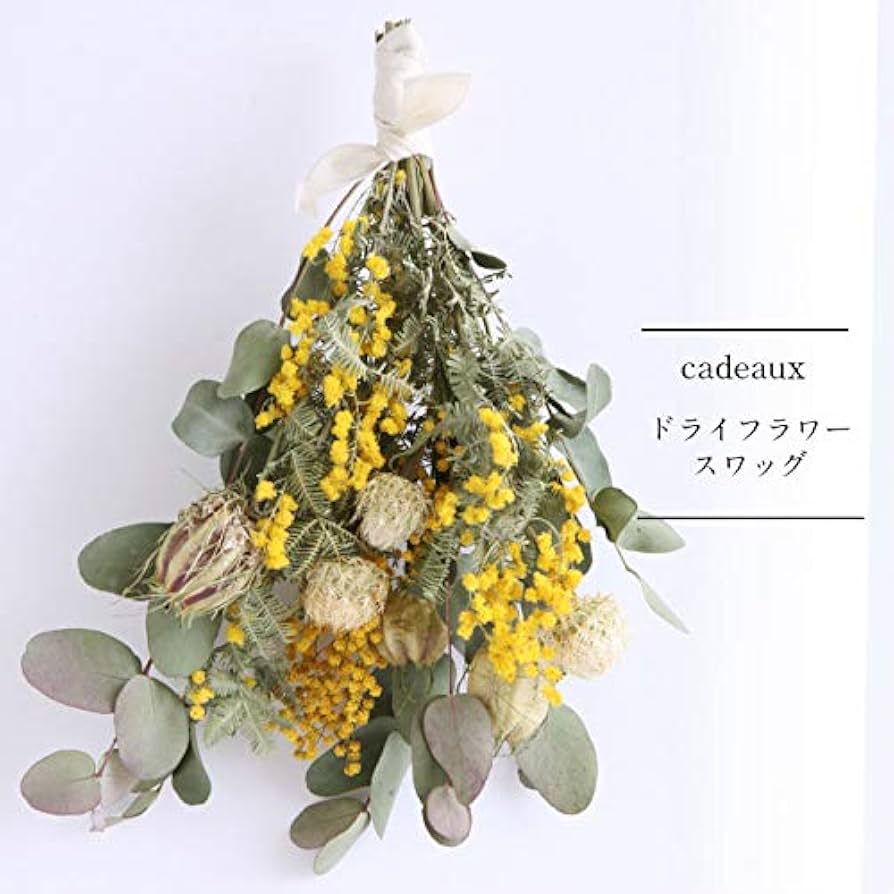 Amazon｜[カドゥ] flower gift ミモザ ドライフラワーブーケ｜ドライ
