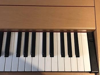 Amazon.co.jp: 込 ローランド Roland F-90 電子ピアノ 脚付 ペダル付