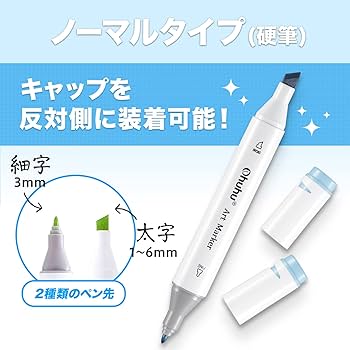 Amazon | Ohuhu マーカーペン 120色121本 パステル 太細両端 イラスト