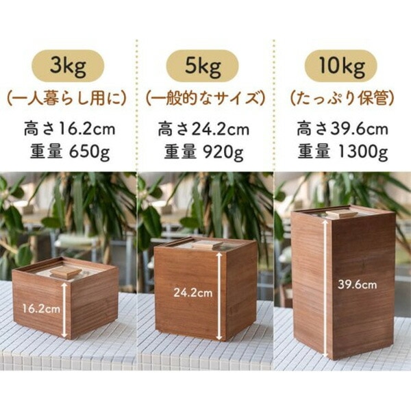 増田桐箱店 桐製 米びつ 5キロ 米びつ 黒 (柿渋) 米びつ 5kg 桐の