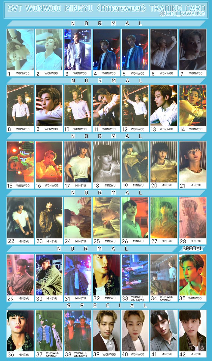 SEVENTEEN セブチ トレカ一覧 Bittersweet ウォヌ ミンギュ ※交換など