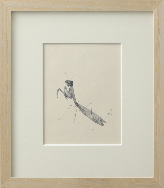 没後5年。命を無心に描いた不世出の日本画家「堀文子」を知る｜堀文子