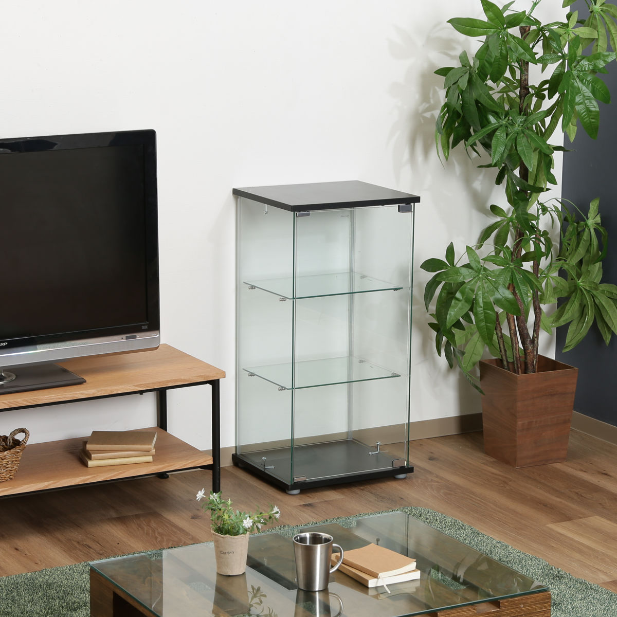 不二貿易（Fuji Boeki） コレクションケース 3段 幅42.5cm 4面ガラス