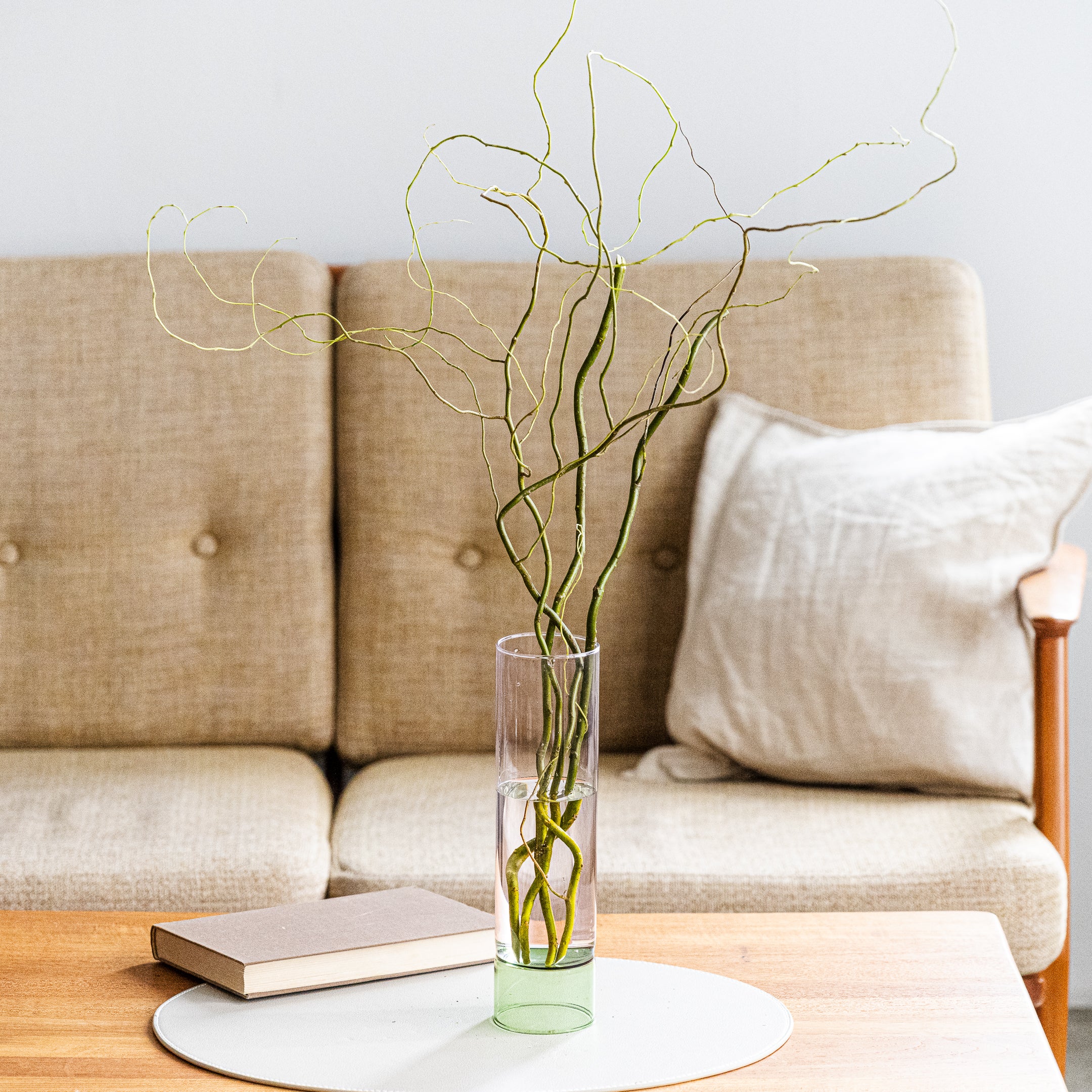 SiKiTO / Bamboo Grove｜竹林にインスパイアされたユニークなデザイン