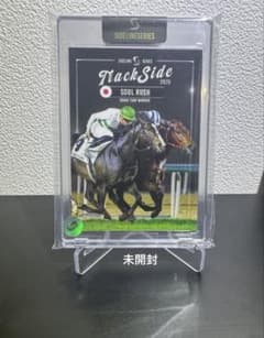 m47349811590_1.jpg?1764497226