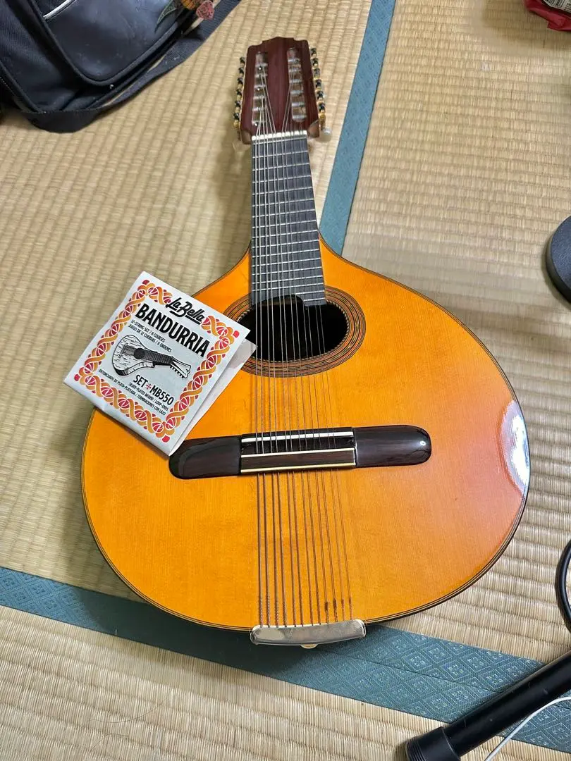 2026年最新】バンドゥリアの人気アイテム - メルカリ