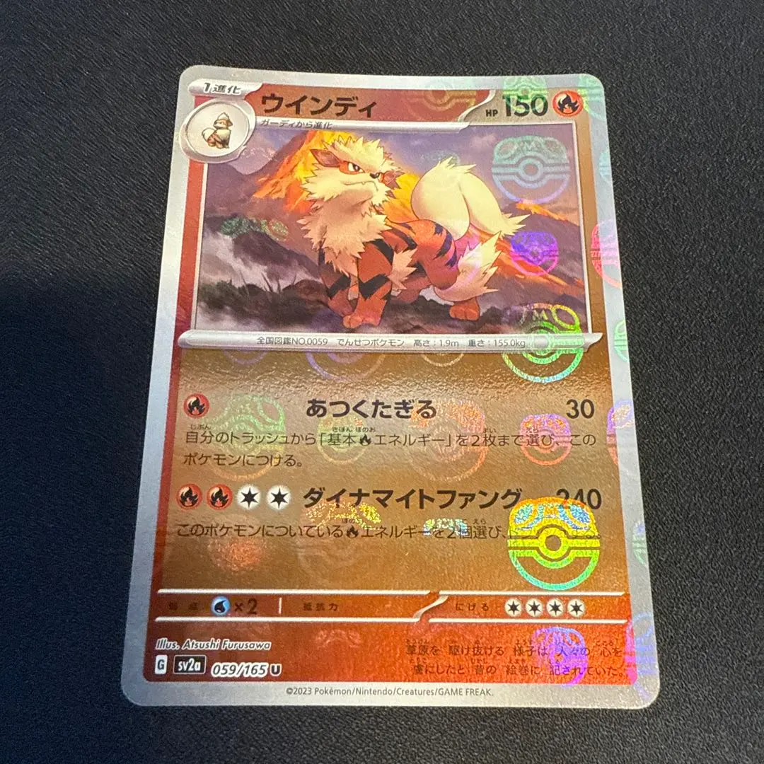 2026年最新】ウインディ マスターボールの人気アイテム - メルカリ