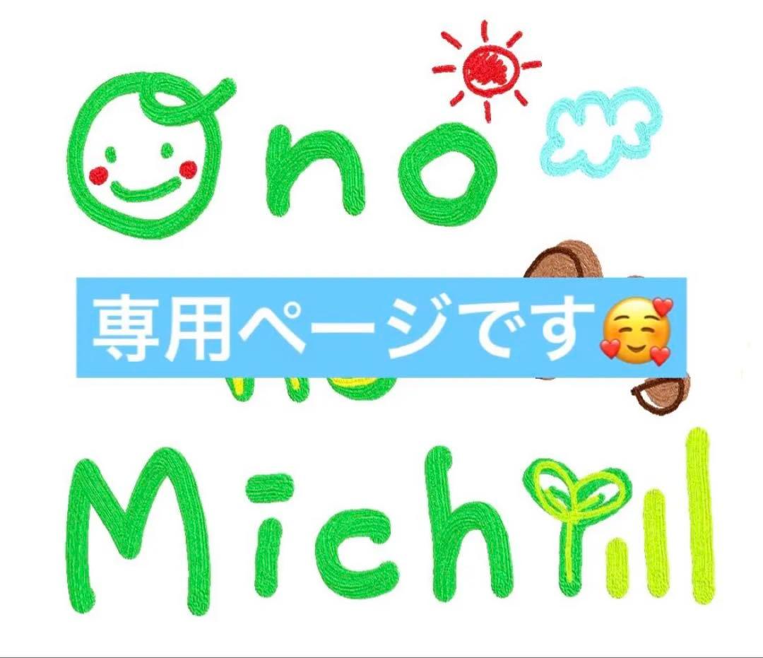 将来有望☆超選抜株☆早い者勝ち】 ドルステニア ギガス 実生 塊根凄