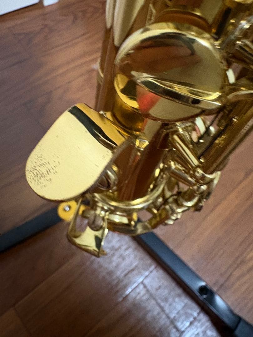 Antigua Eldon カーブドソプラノサックス ヤナギサワブロンズネック付