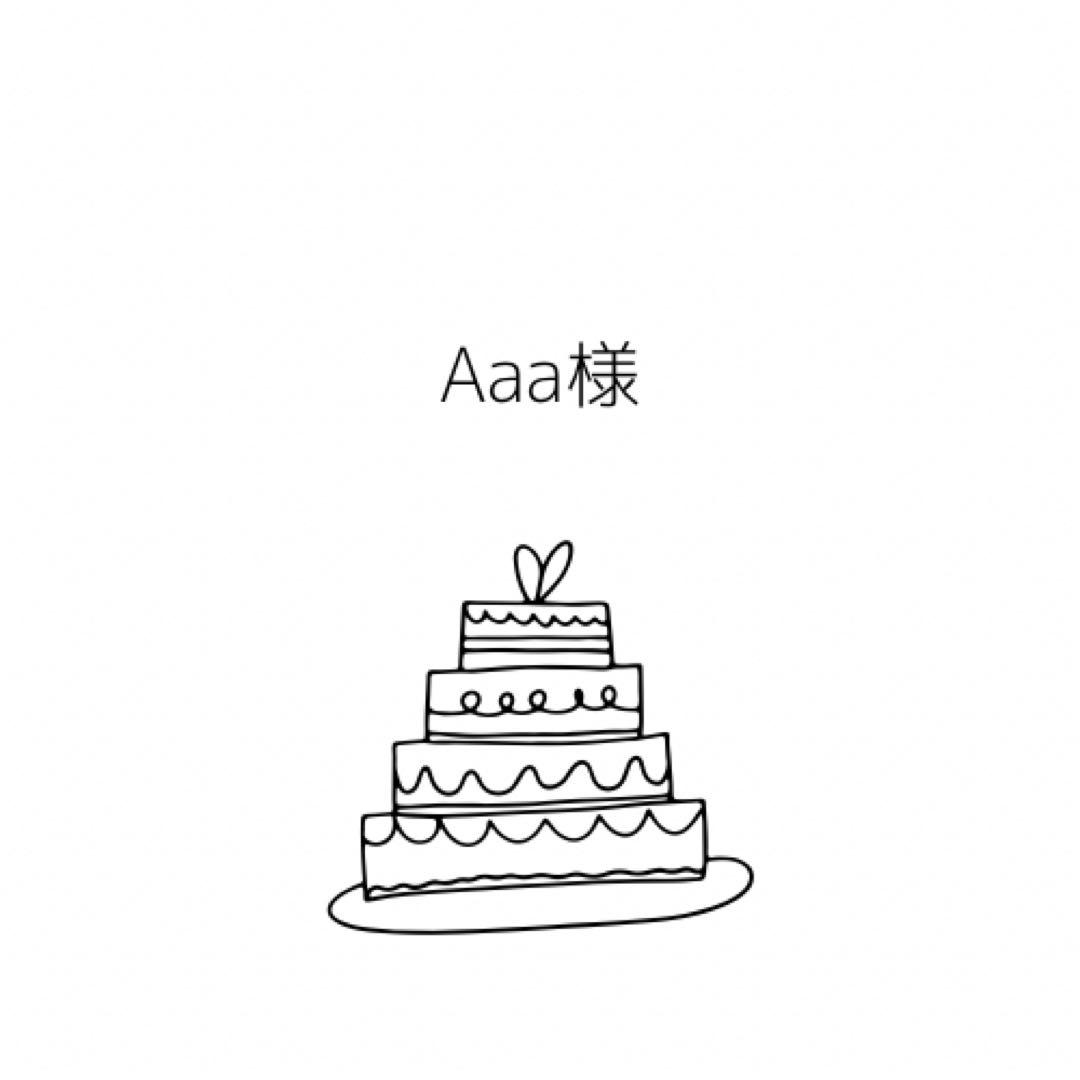 Aaa様オーダーページ ZITHION-X AAA Rechargeable Batteries | COAST: Innovative LED