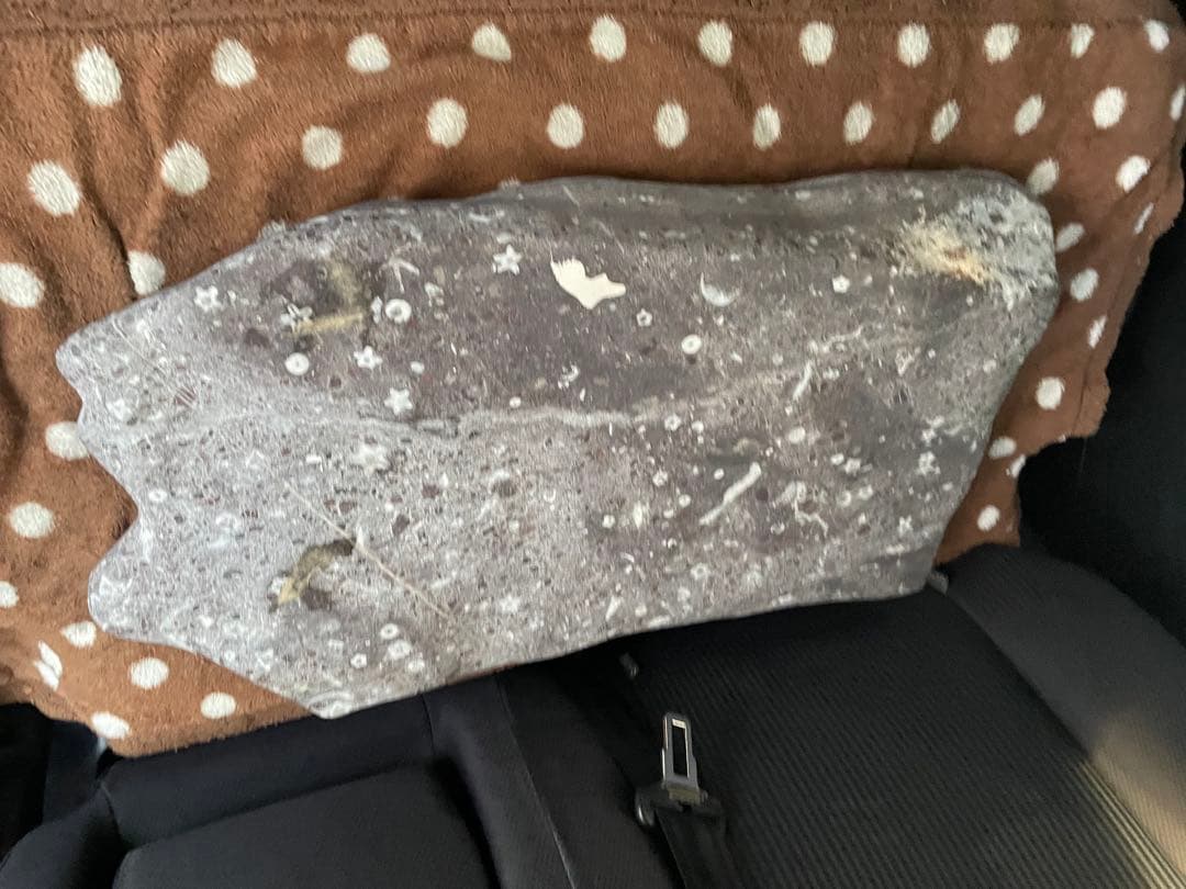 梅花石　鑑賞用石材　パワーストーン　インテリア雑貨 楽天市場】梅花石の通販