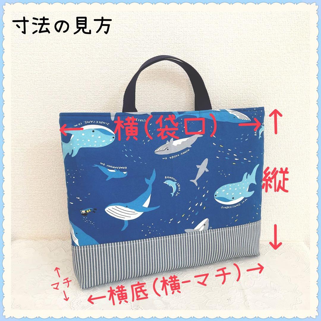 入園 入学 ☆レッスンバッグ　オーダー 受注注文 男の子　《海　魚　シャチ》
