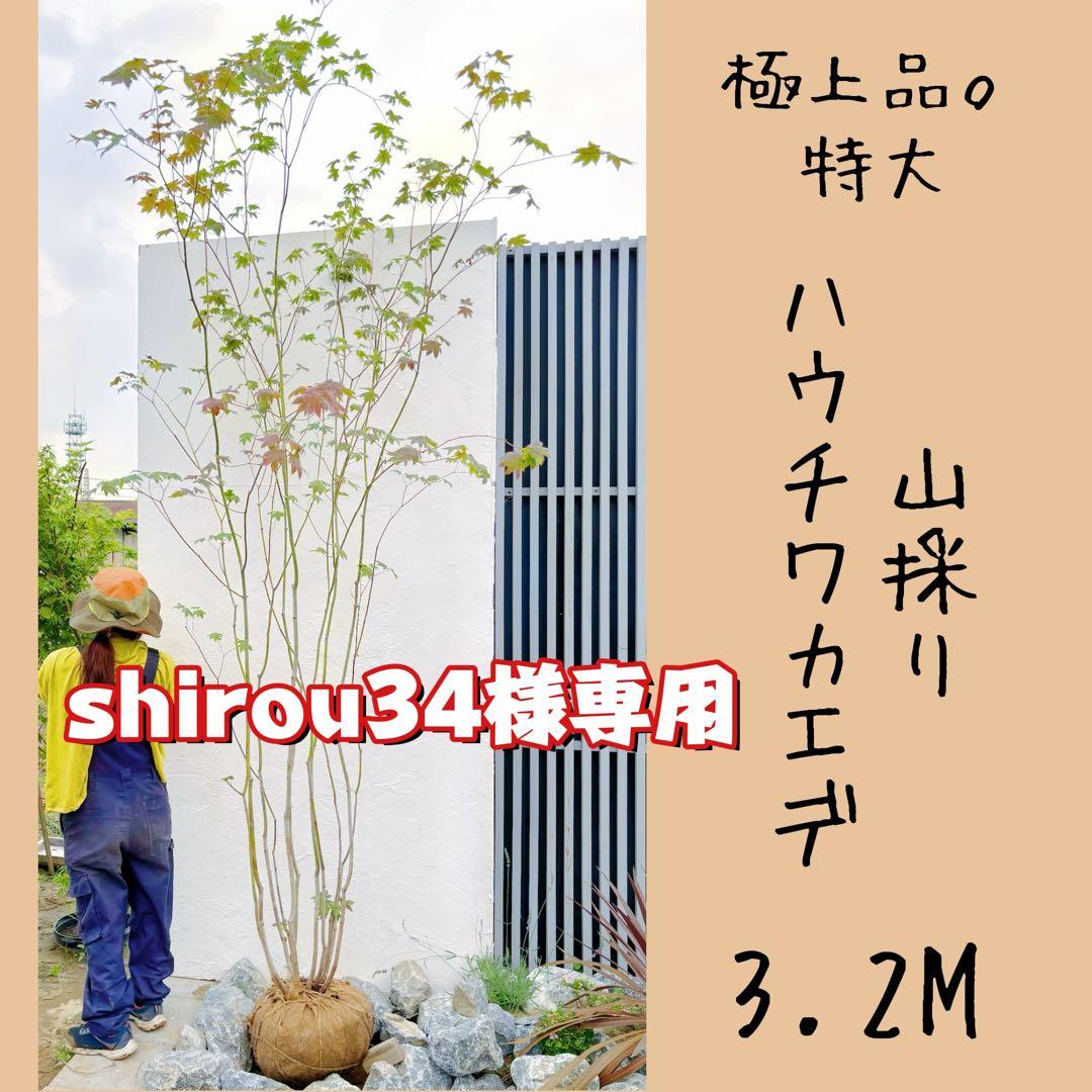 shirou34リクエスト3点