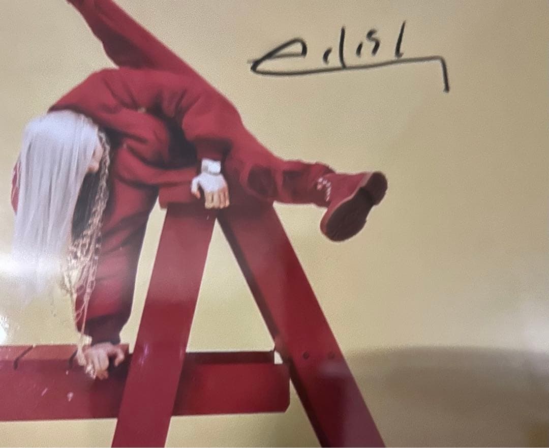 ビリーアイリッシュ　直筆サイン Billie Eilish(ビリーアイリッシュ) 【直筆サインカード】 | searchlight