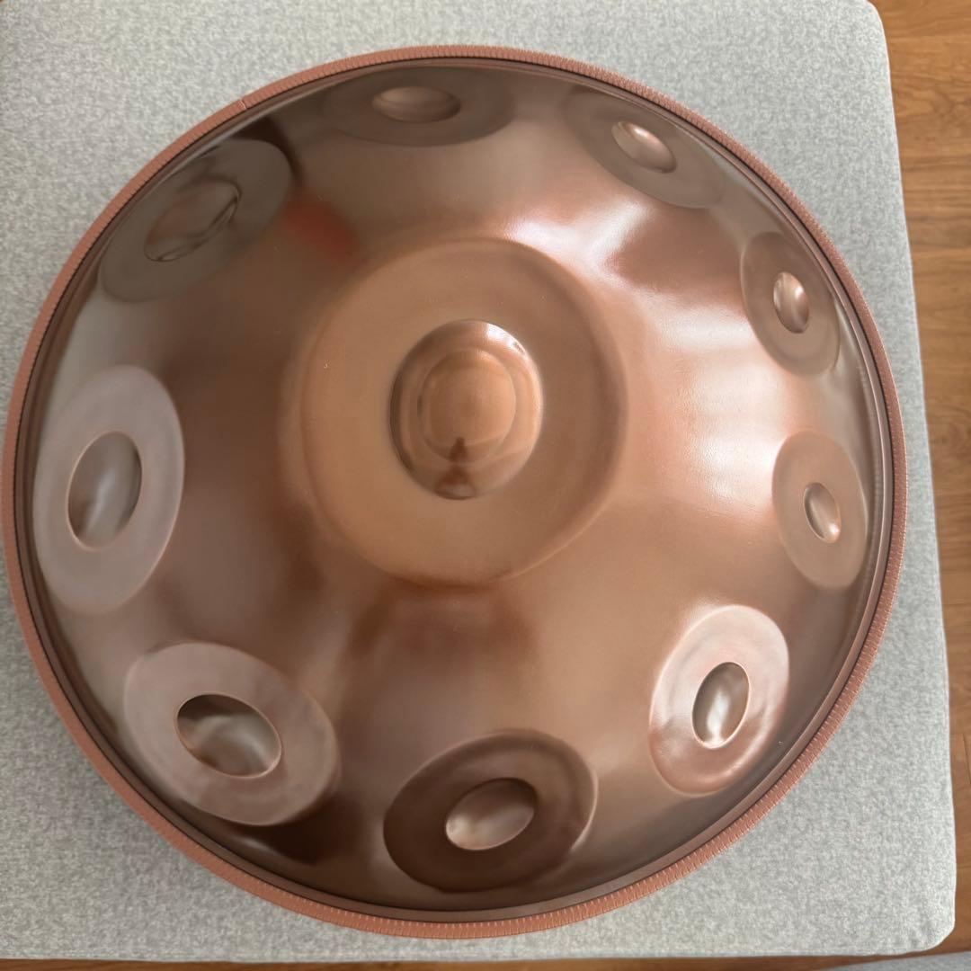 専用です　　　　　 LYハンドパンD kurd 10 ハンドパン HandPan D kurd 10 ソフトケース付き - ::民族楽器コイズミ::