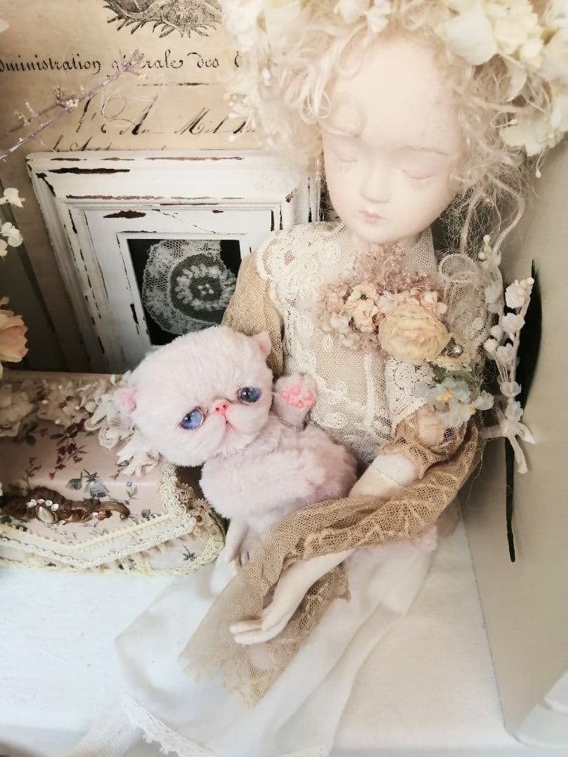 くろねこ様❤️オーダー❤️お腹ぽっこり♡エキゾチック子猫ちゃん