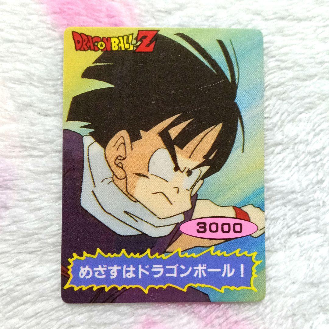 ドラゴンボールZ ポケット両面ブロマイド 山勝 カードダス PPカード