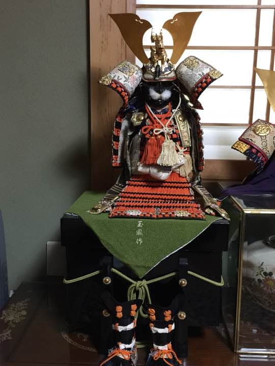 五月鎧兜 五月人形 兜 / 鈴甲子雄山 / 源頼朝 獅噛前立赤糸威 – 人形の鯉徳