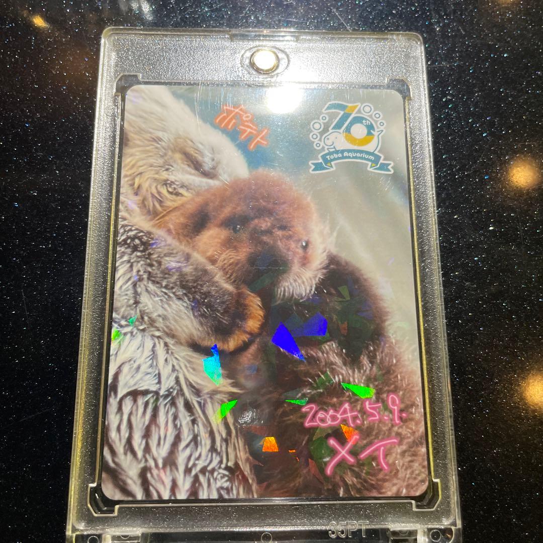 ※値段交渉可　☆鳥羽水族館☆メイ、ポテトとジュゴンのホログラムカード2枚セット 鳥羽水族館】70周年記念 コレクションカード キラ メイ ノーマルカード