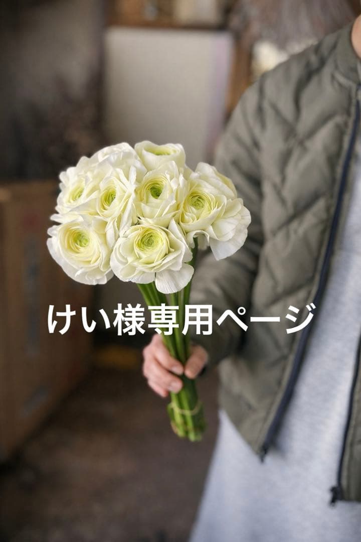 けいページです 楽天市場】アイリスオーヤマ IRIS 107946 PROLEDS