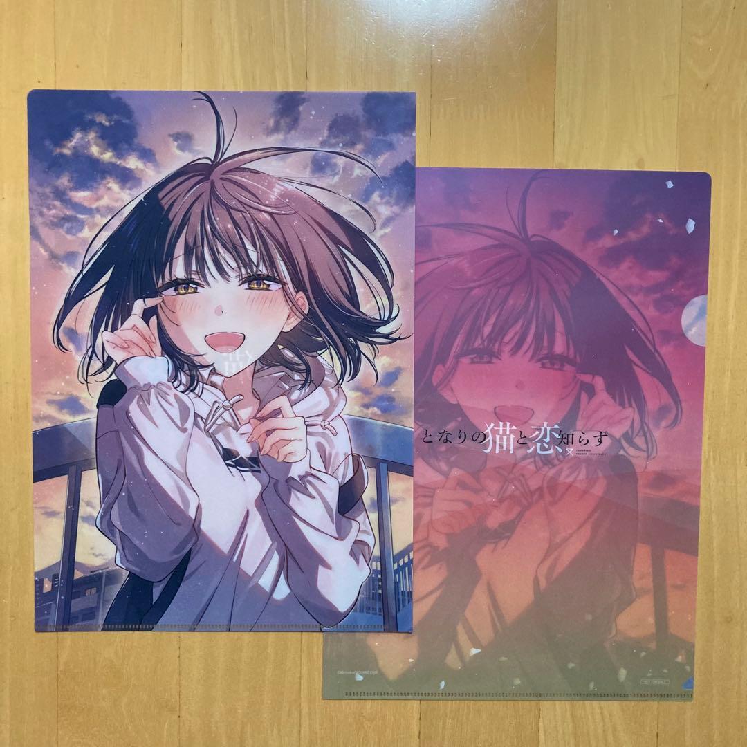 特典 ゲマッパ クリアファイル となりの猫と恋知らず 猫実 むぎ