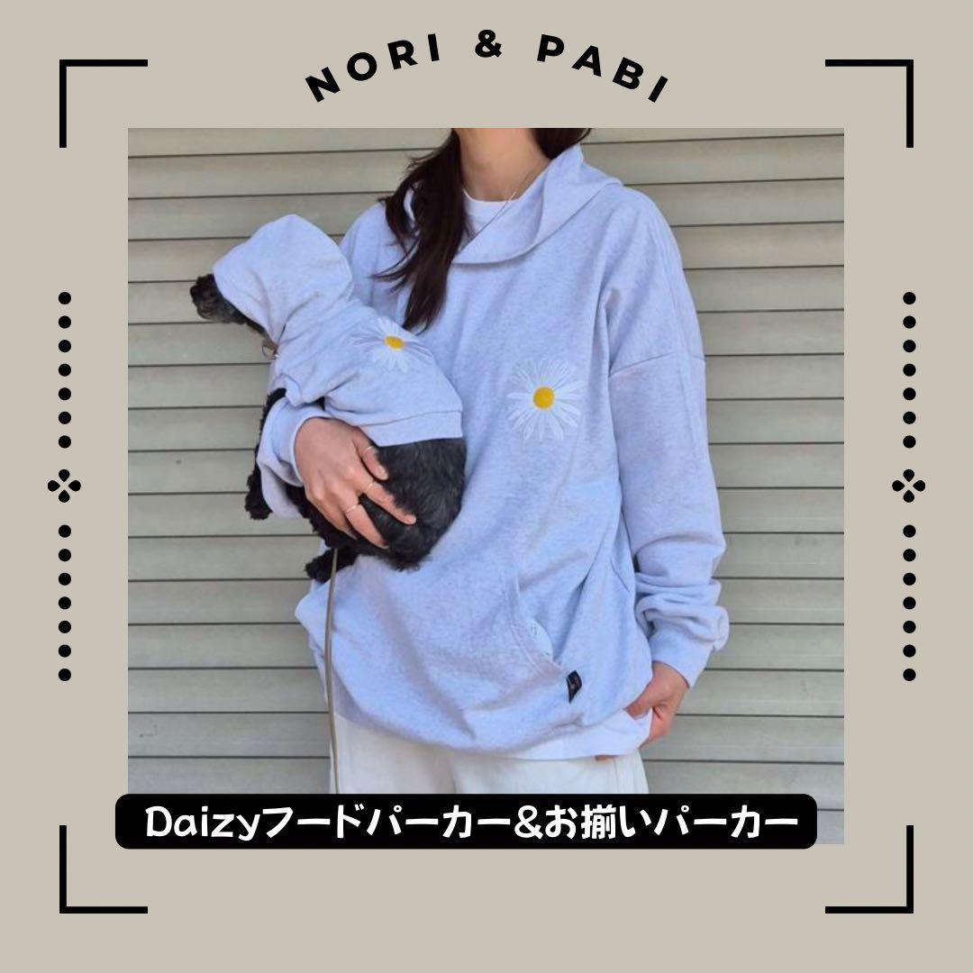 中国画 文徴明 麻寿図 四尺中堂 掛け軸／防偽証書付き