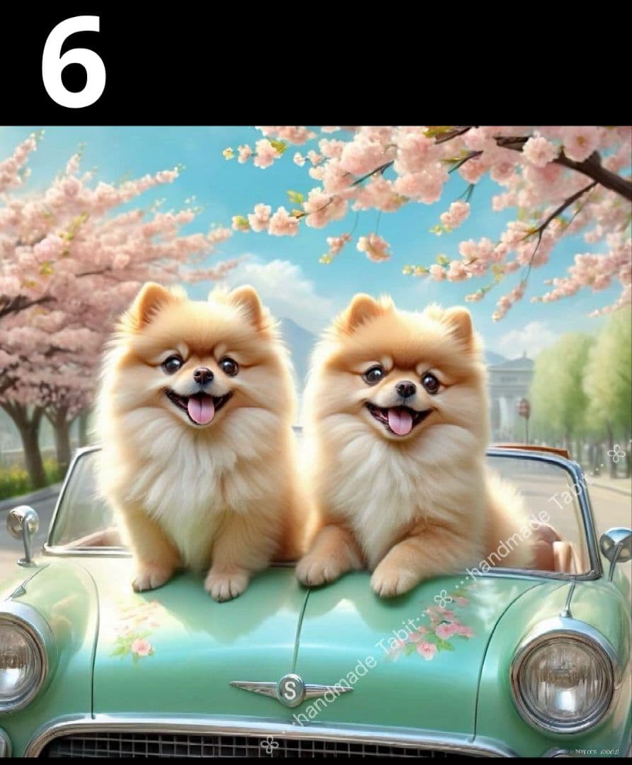 オーダーページ　ハンカチ　ポメラニアン柄ハンドメイド1/31 pmrh-hand-1.jpg