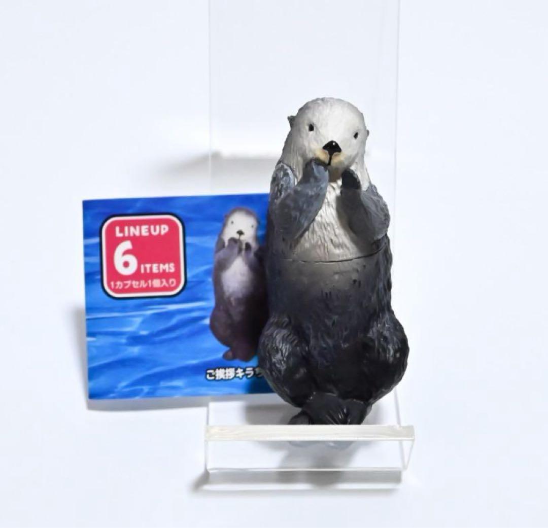 最終値下げ！鳥羽水族館 コレクションカード 70周年記念ラッコ キラ