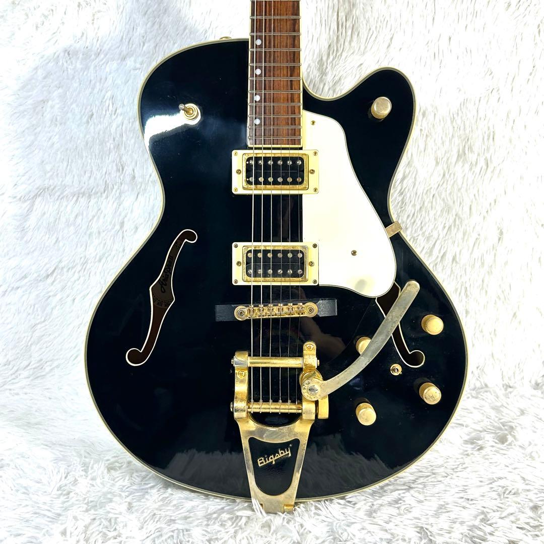 みそかつ様専用】Aria ProⅡ FA-800 フルアコースティック